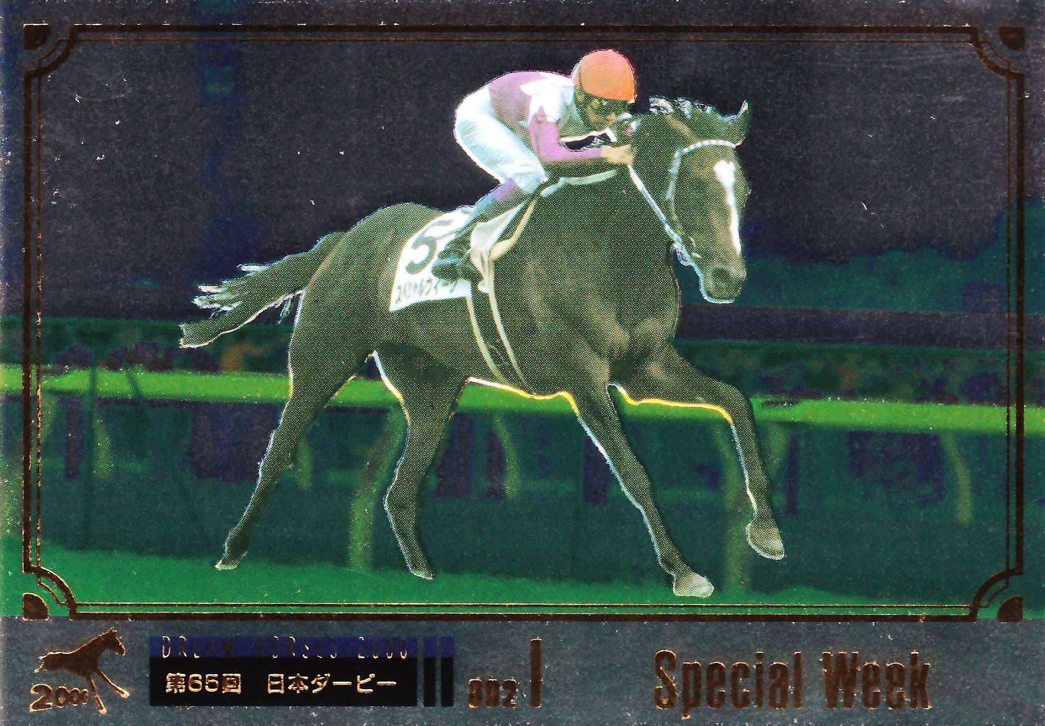 THE GRADE ONE 20世紀の名馬 | カードショップ うるま屋