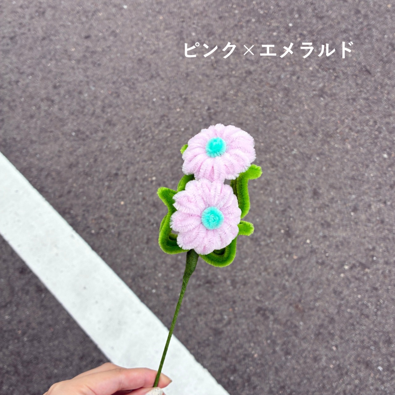 daisy デイジー【1本単体】| fuwafuwa flower - 9