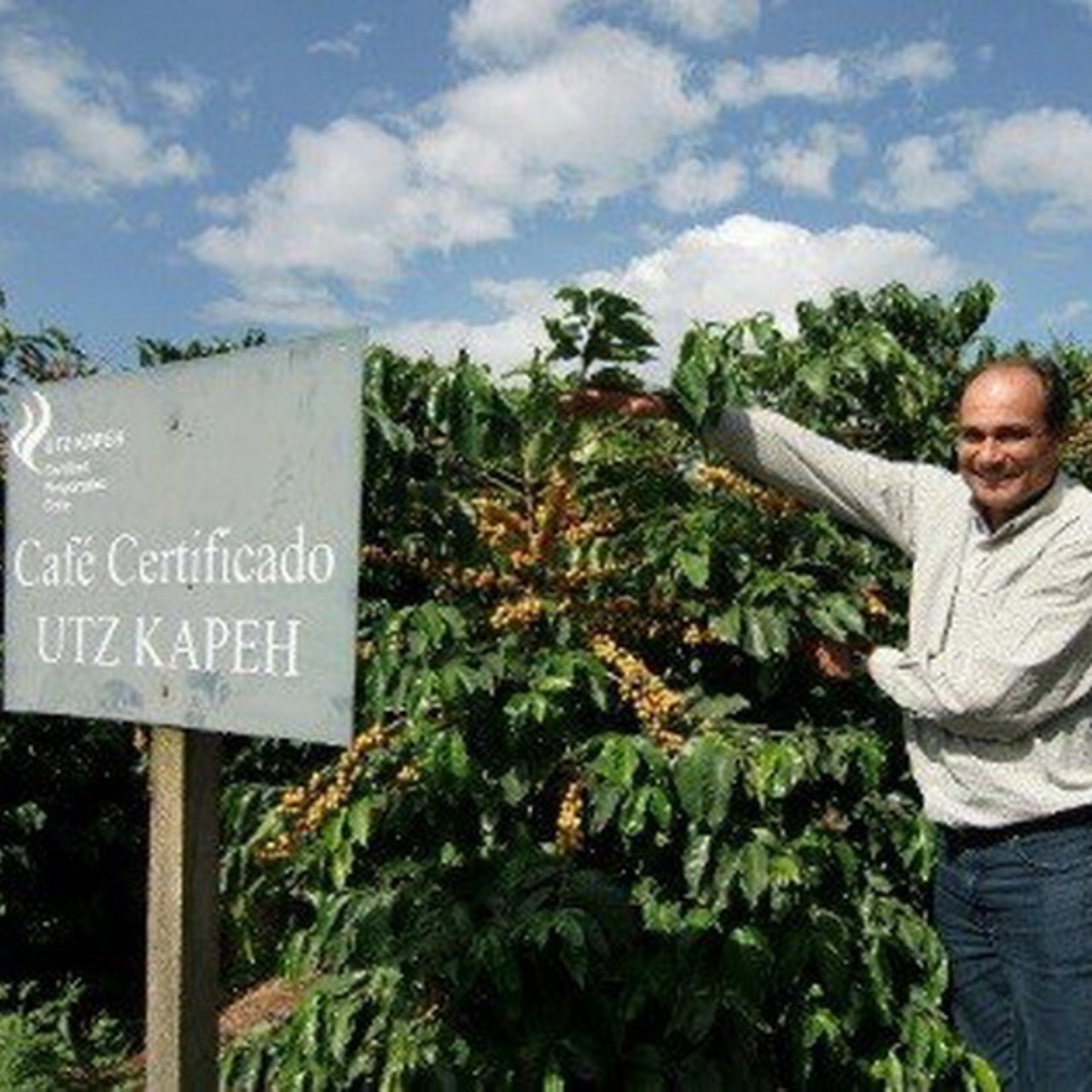 ブラジル ブルボン アマレロ アルコイリス農園【ポスト便】