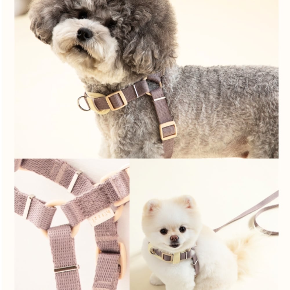 YType Harness Y型ハーネス | anpi