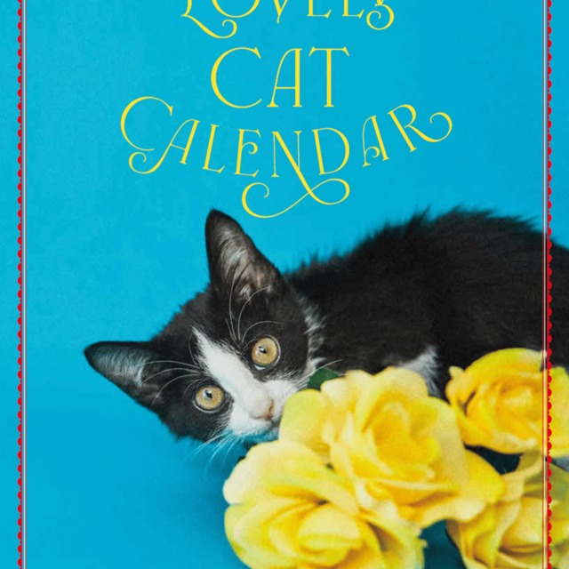 【ポルカ社】Lovely CAT Calendar 2027　※先行予約