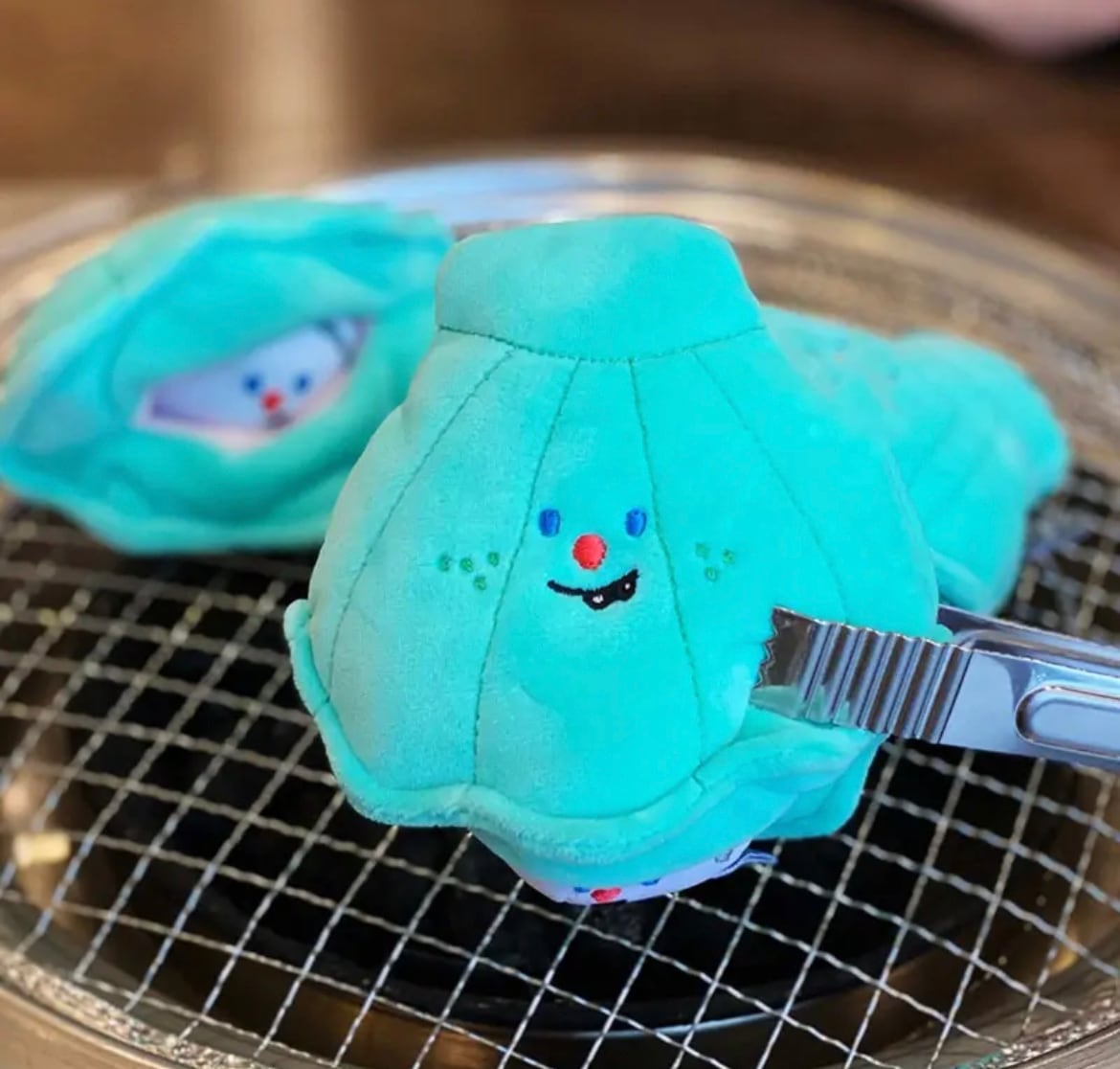 貝殻おもちゃ☆ | vivistore