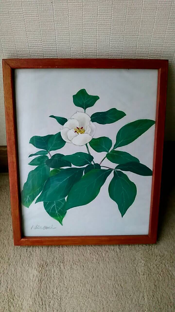 絵画 水彩画 百舌鳥に沈丁花 | アトリエひろ