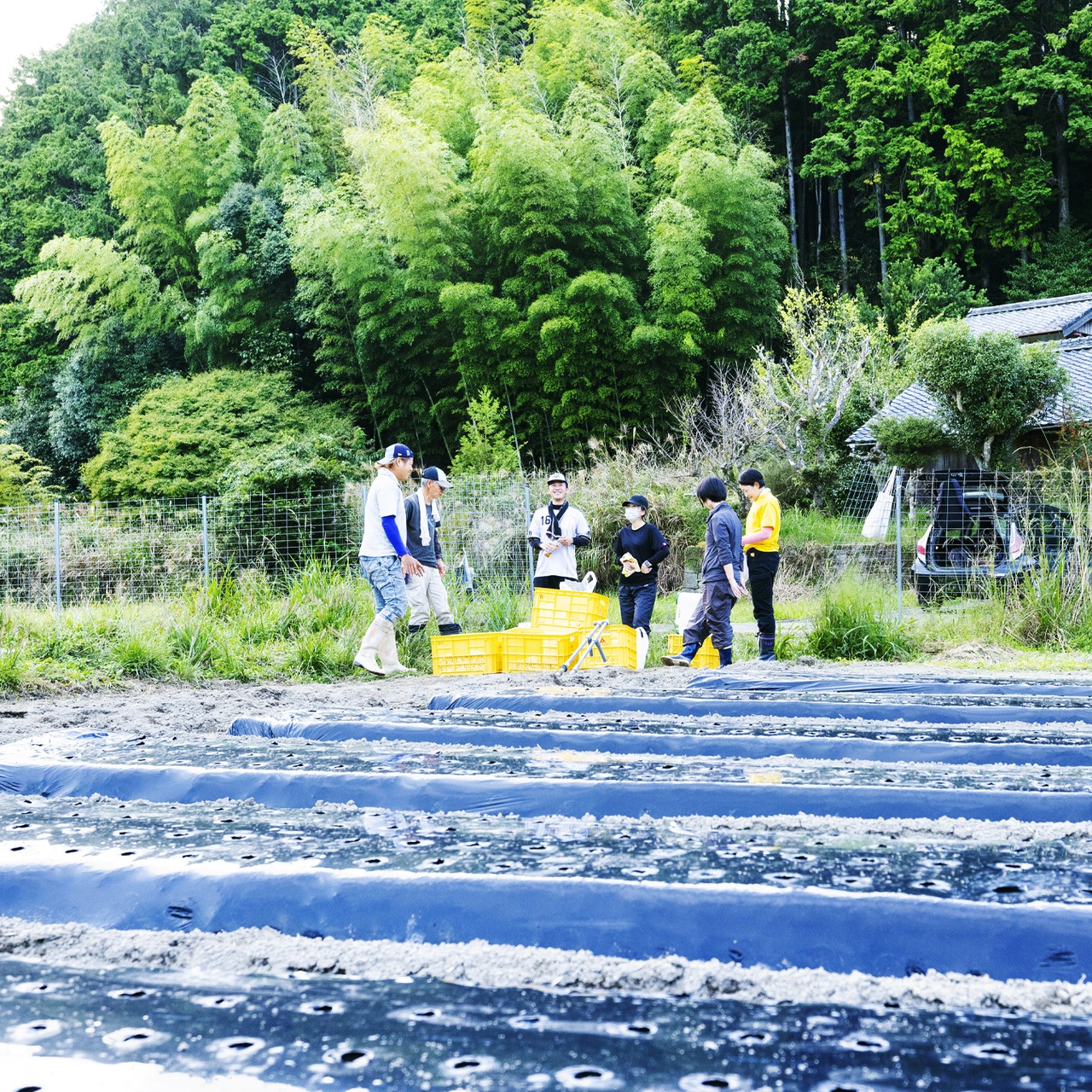 ［期間限定］生にんにく1kg（農薬・化学肥料・除草剤不使用）