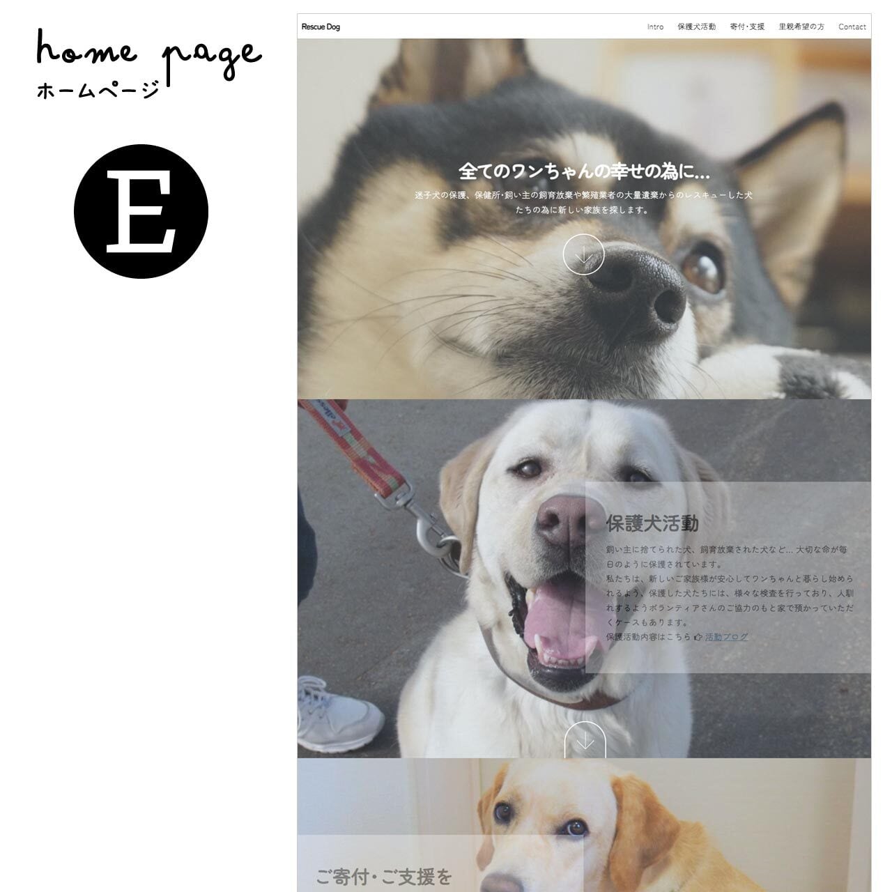 保護猫・保護犬サイト作成（1枚モノ） | ねこねこデザイン - 猫の
