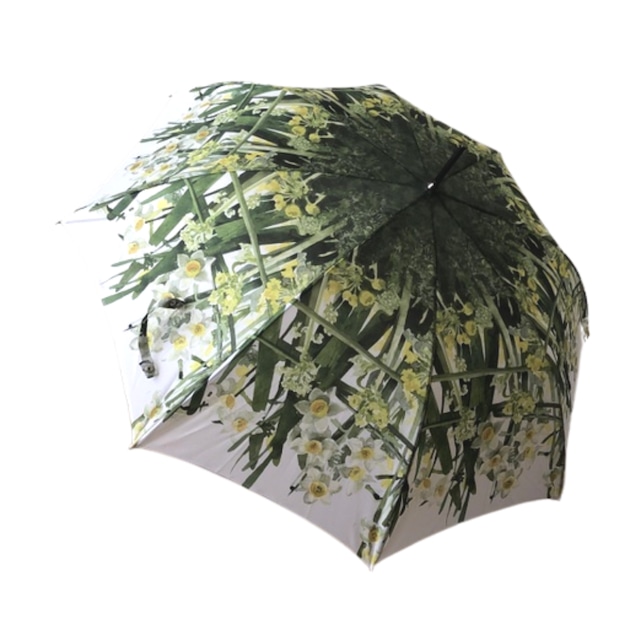 Order made 　水仙と菜の花の雨傘