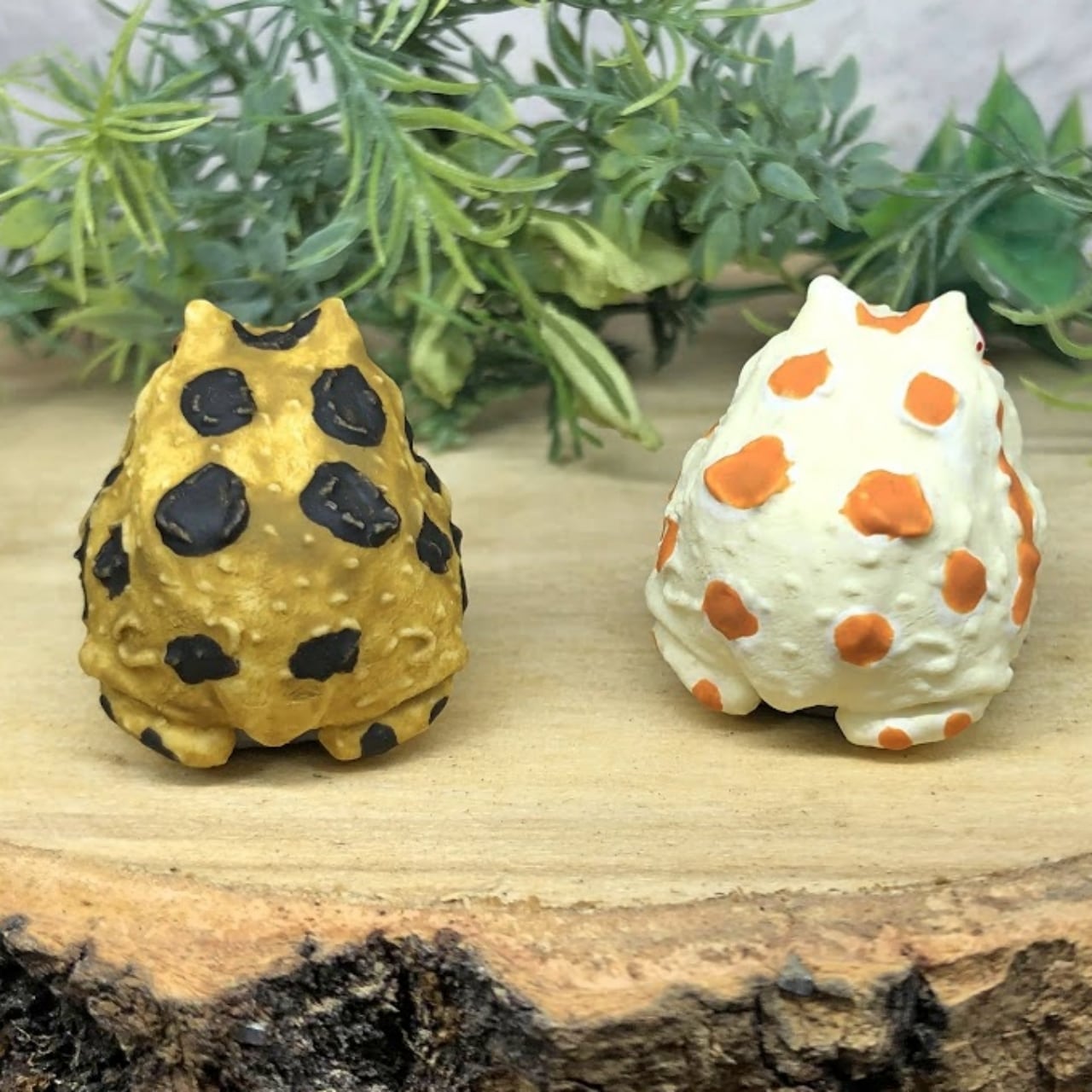 クランウェルツノガエル | 真工房 masakoubou