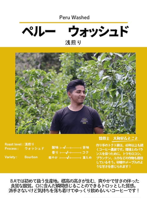 【浅煎り】ペルー　ウォッシュド　100g