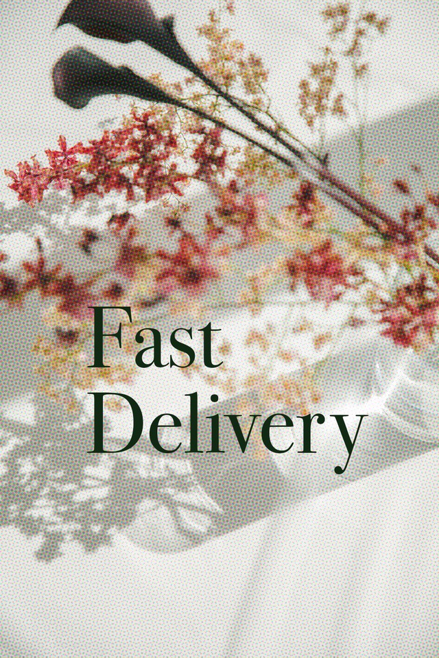 Fast delivery service