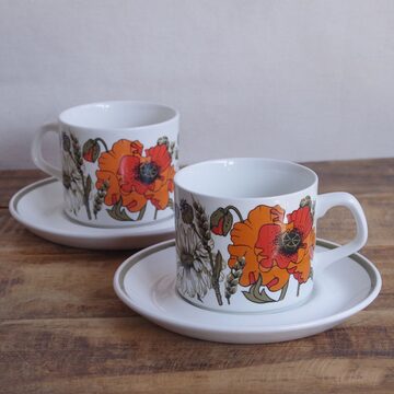 DENBY デンビー Pampas ブラウン カップ ソーサー パンパス ボーダー 