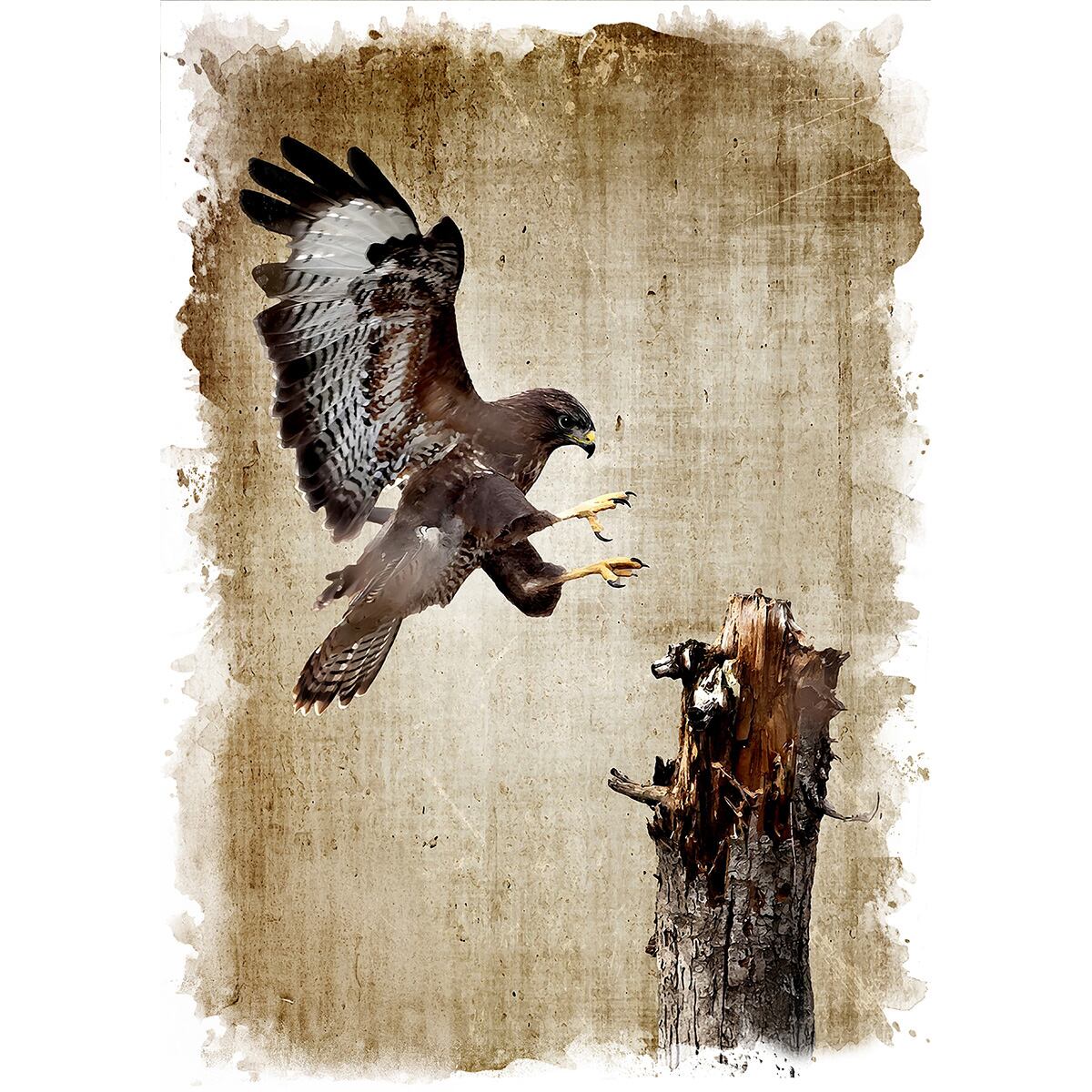 絵画 動物 鳥 ノスリ インテリアアート額付き 水彩画・油絵風 WAT1139