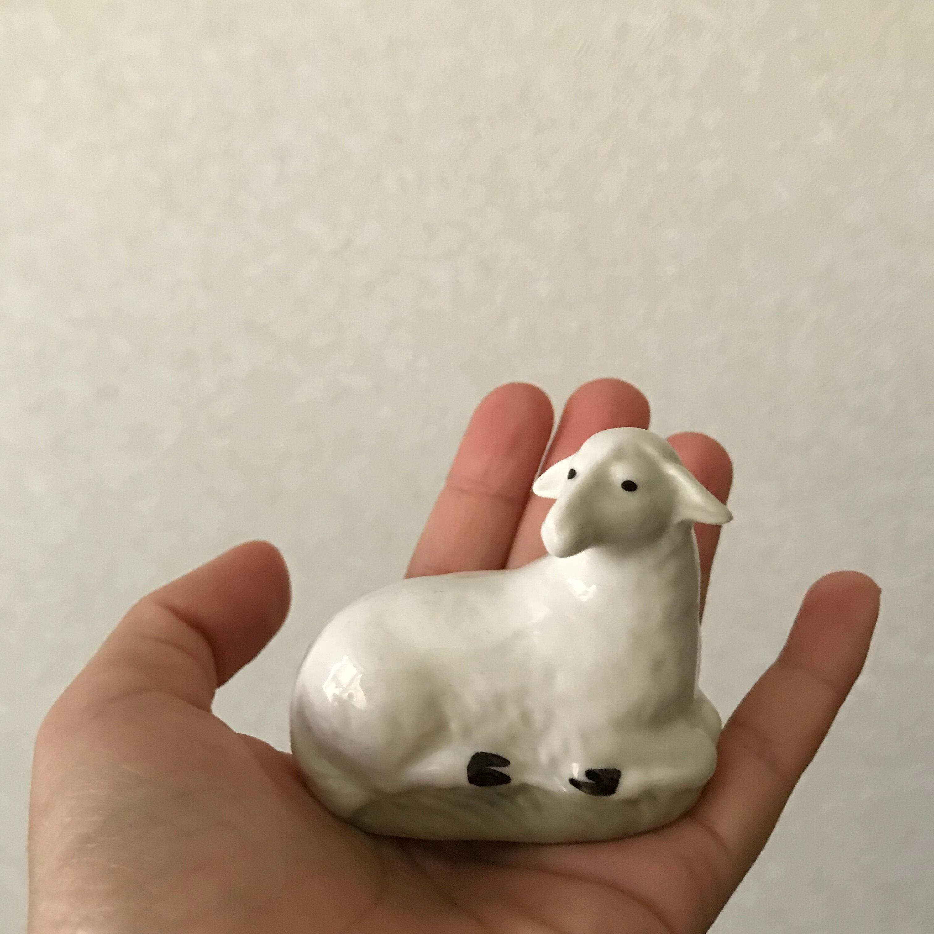 おだやかなひつじ