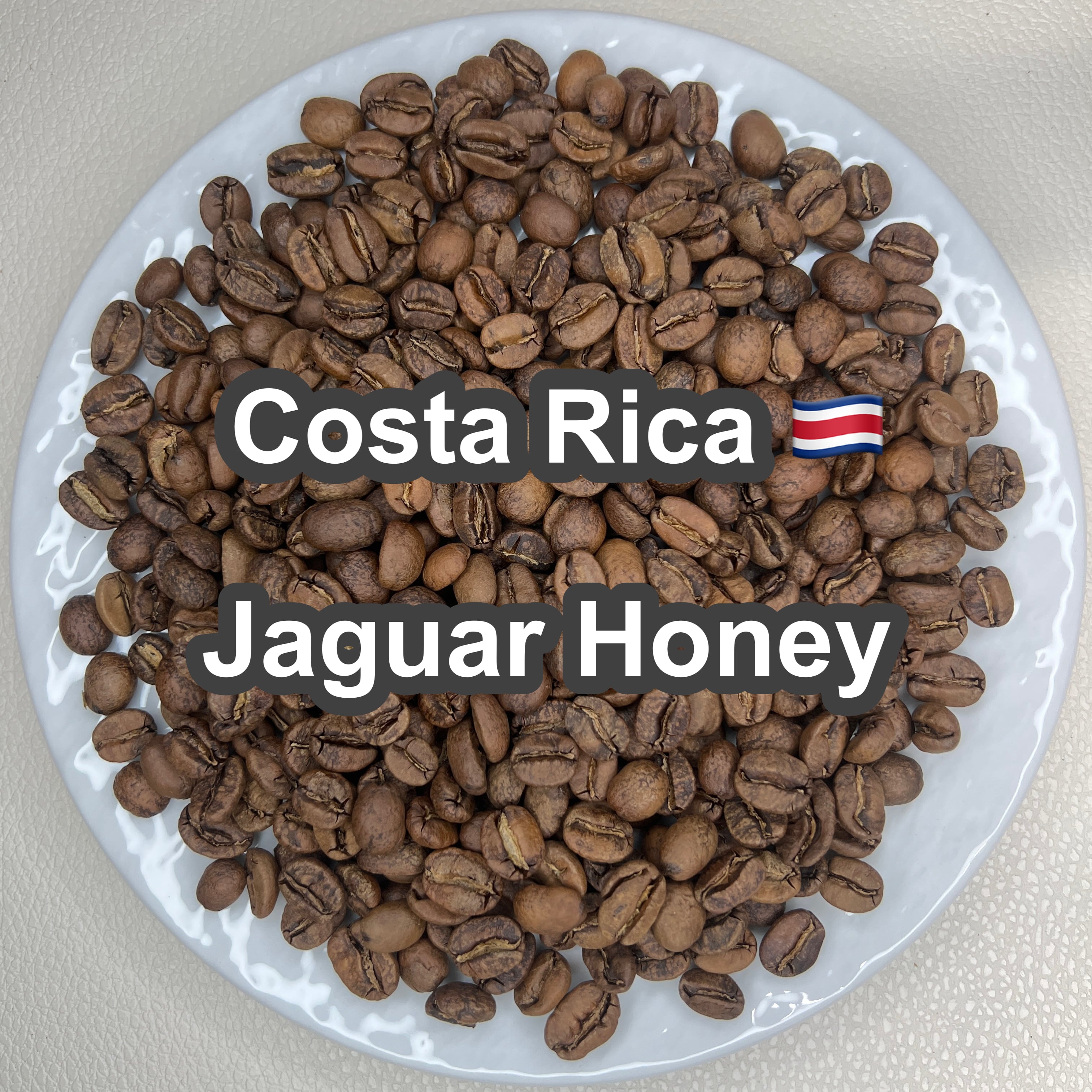 Costa Rica Jaguar Honey(コスタリカ ジャガー ハニー)100g 【受注焙煎・自家焙煎コーヒー豆】【ベリーのような爽やかな酸味】