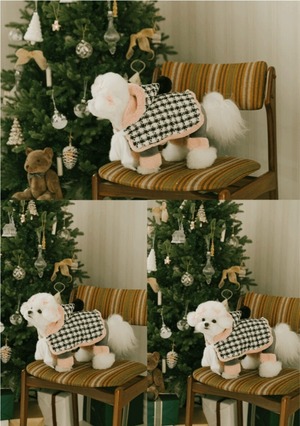 即納　【pecoramou select】ロマンスポンチョ ブラック