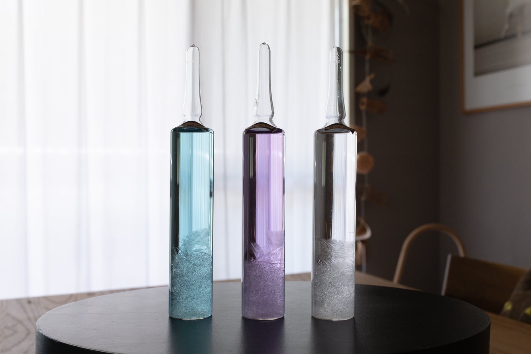 雨の標本- XL - ストームグラス | ATELIER de MIOMORI｜アトリエ・ド