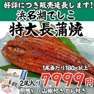 でしこ うなぎ 京丸 国産 蒲焼 浜名湖産 ブランド鰻 「でしこ」 特大 長蒲焼 2尾 セット (約180g×2) 国産 肝吸い付き 送料無料