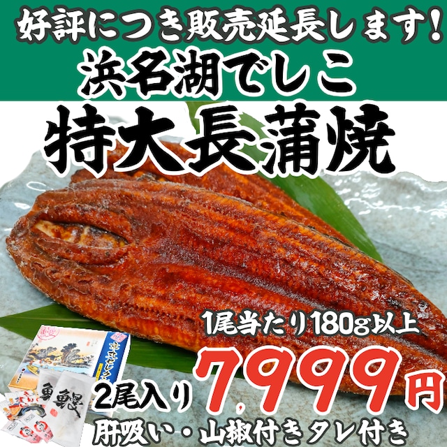 でしこ うなぎ 京丸 国産 蒲焼 浜名湖産 ブランド鰻 「でしこ」 特大 長蒲焼 2尾 セット (約180g×2) 国産 肝吸い付き 送料無料 1