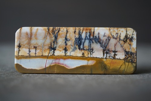 チェリークリーク・ジャスパー Cherry Creek Jasper 1476