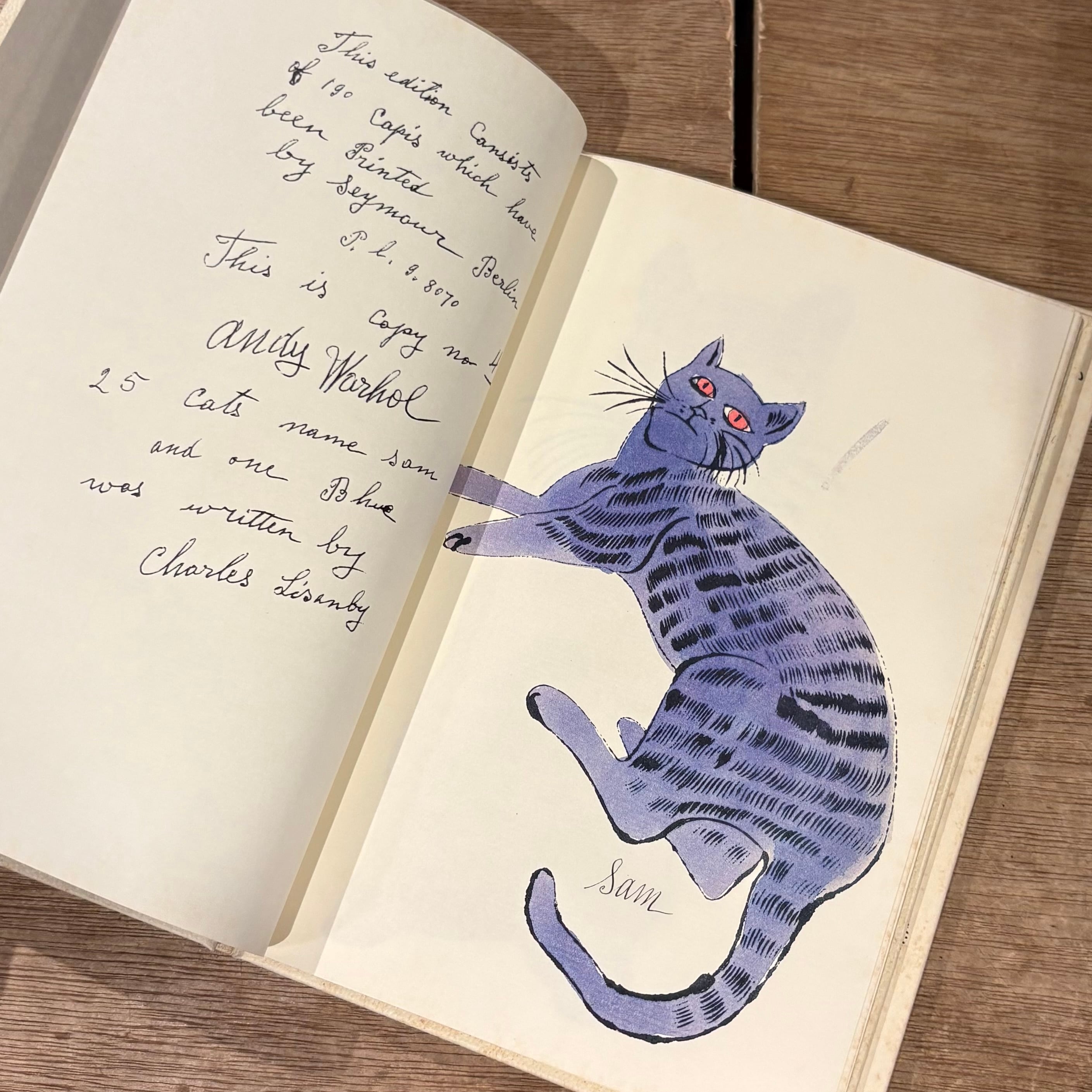 25 Cats / Holy Cats 25 Cats name Sam and One Blue Pussy Andy