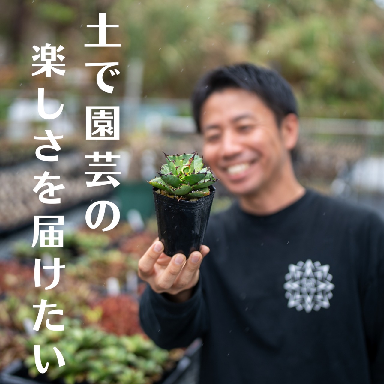 マナソル｜アガベ・塊根の土 速乾小粒プレミア 10L | manasgreen