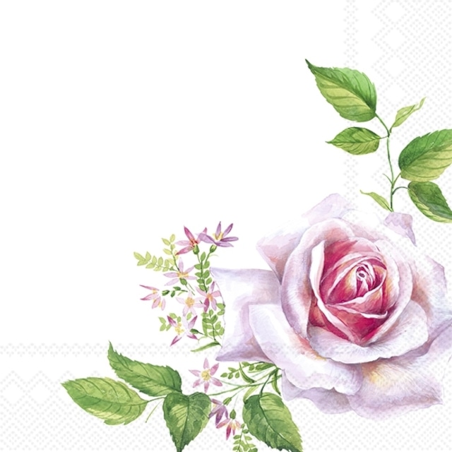 2023春夏【IHR】バラ売り2枚 ランチサイズ ペーパーナプキン VALERIE ホワイト
