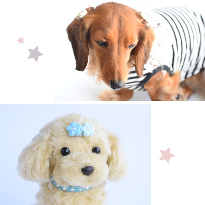 犬 ヘアアクセサリー]ダブル フラワー お花 パッチンコームピン 2点