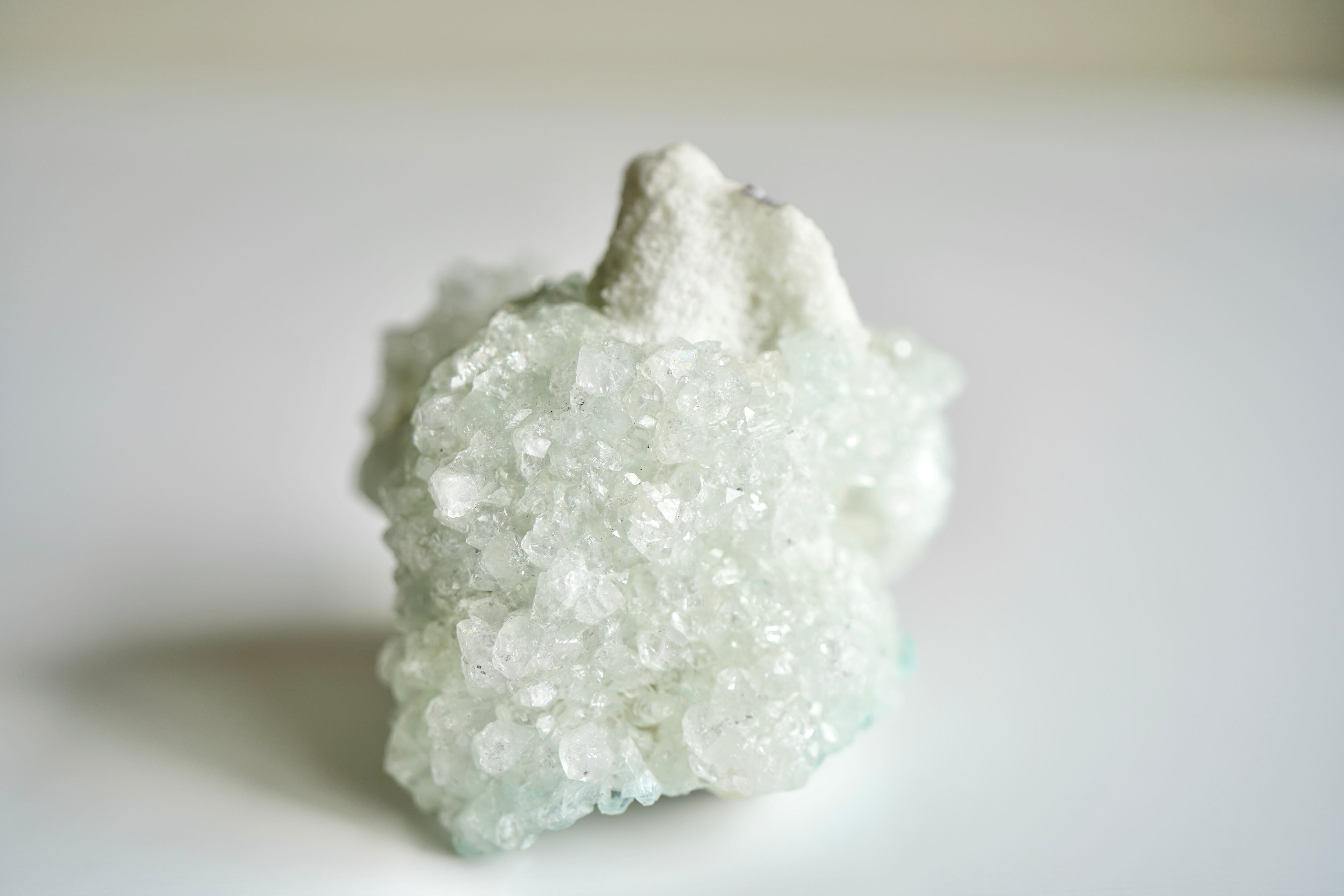 ミントのおくるみ