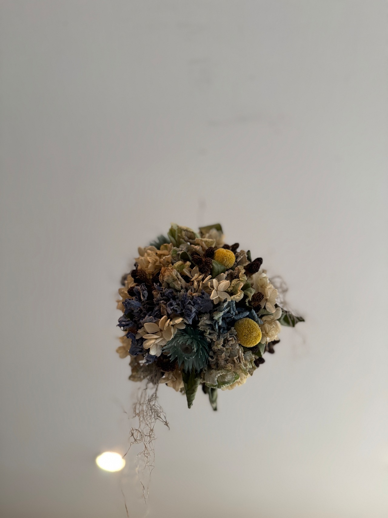 フラワーボール　ブラックブルー