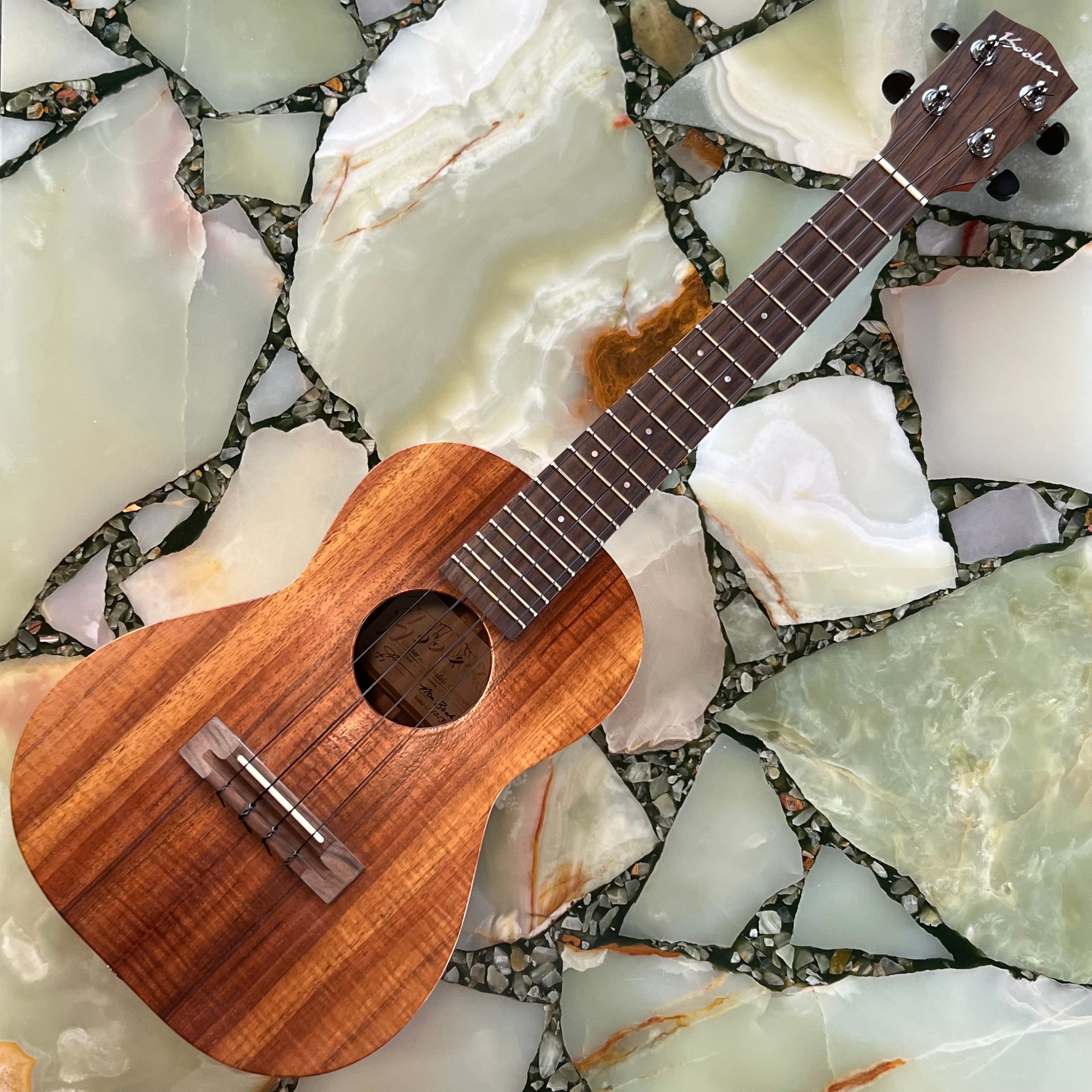 新品 調整済 KALA テナーウクレレ KA-PX-ZCT-T | UKULELE DARUMA
