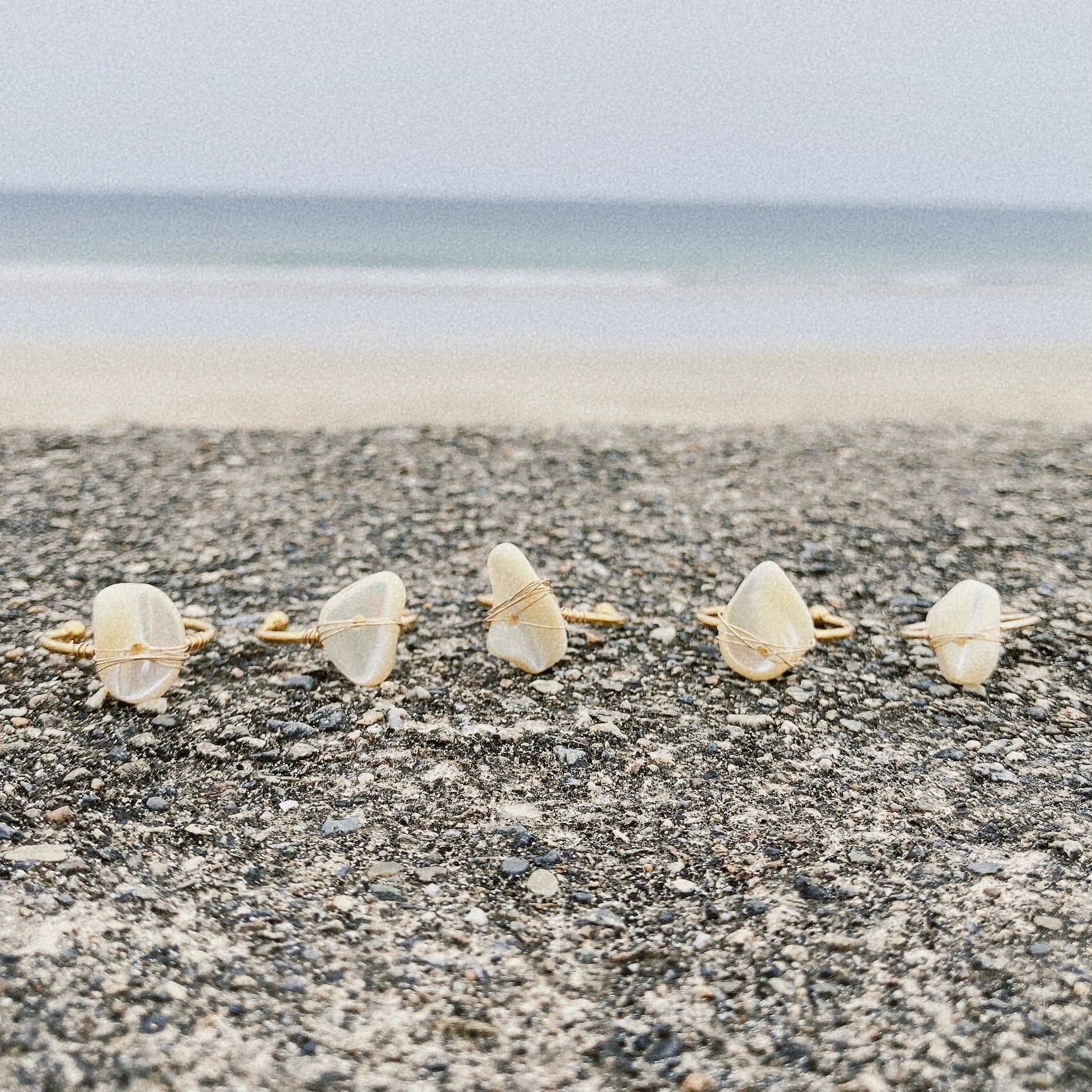 タカセ貝 高瀬貝 リング 1点モノ color : off-white & gold サイズ