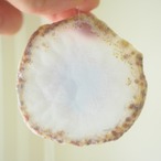 Mint Soda - アゲートヒーリングチャイム / Agate Sun Catcher Wind Chime 681