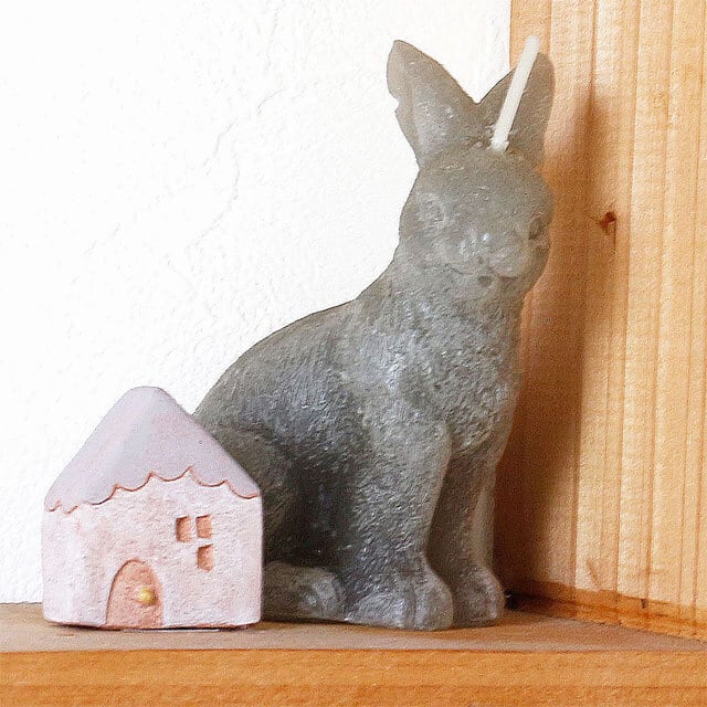 new item 】 | うつわと暮らし｜M's homelife（エムズホームライフ）