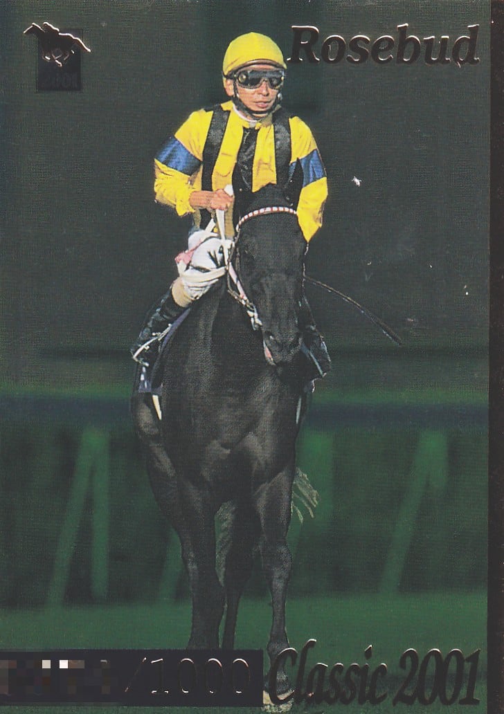 サラブレッドホースコレクション ウエハースカード イクイノックス