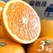 農家直送 清見タンゴール 3kg 【みかんの甘味、オレンジの香り。みかんとオレンジの良いとこどり。】愛媛県産