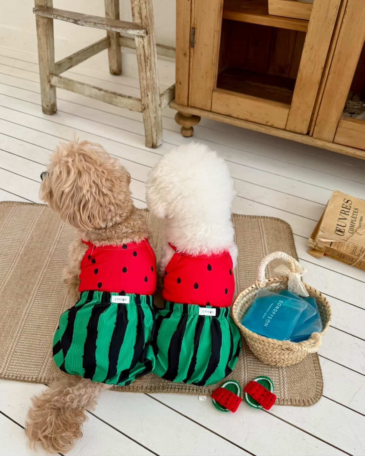 予約【songpyeon】WaterMelon rompers