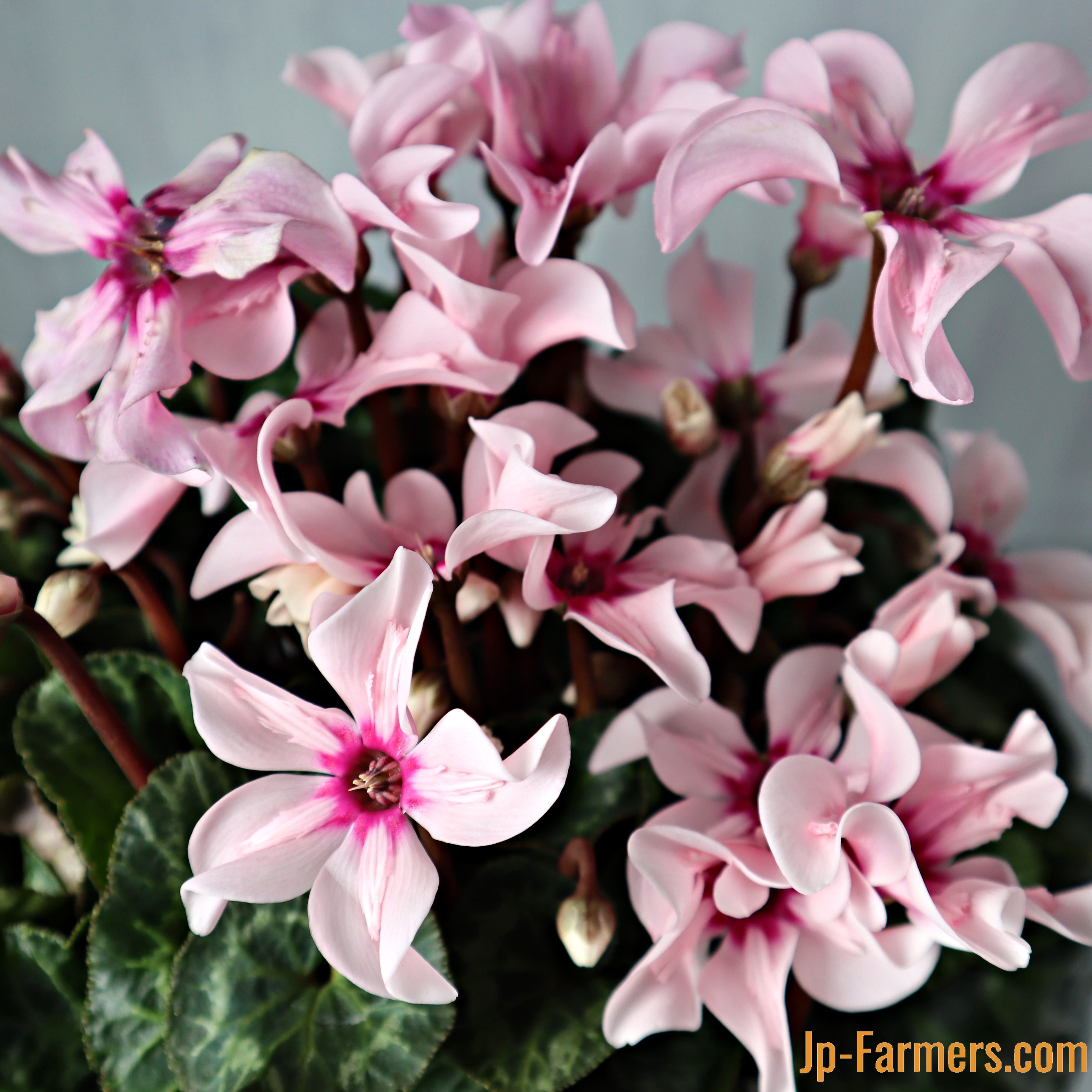 84d274d26016db27c357e0fb654deb