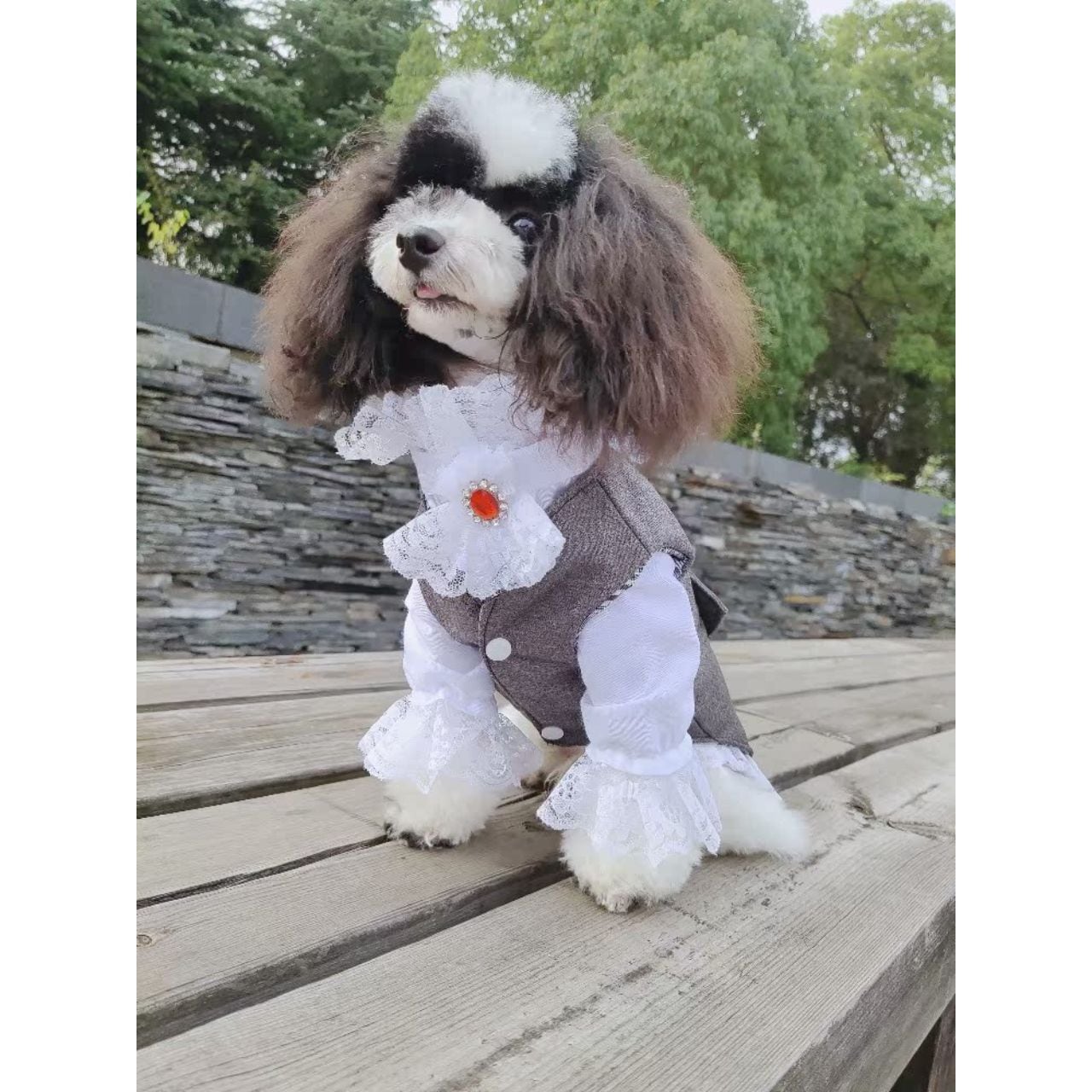 プリンスエレガンスコート 00633