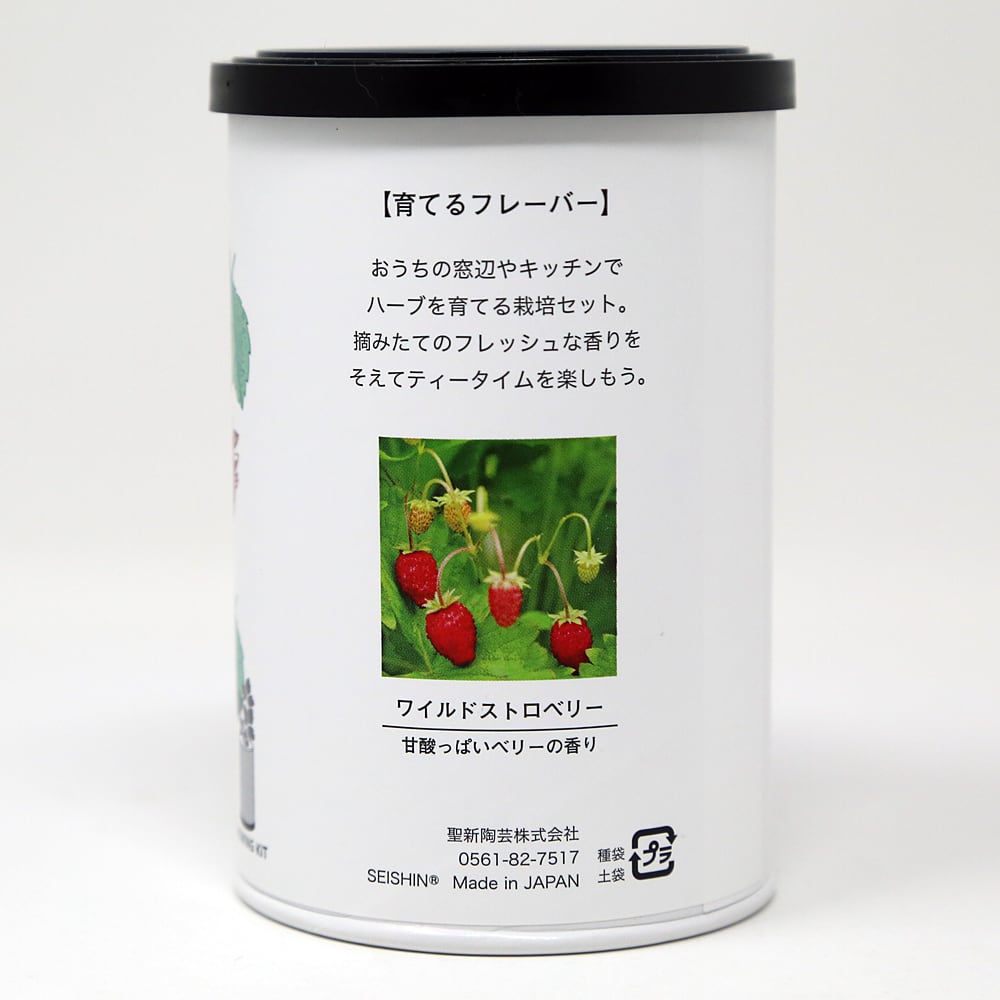 ⭐おばちゃん様専用⭐