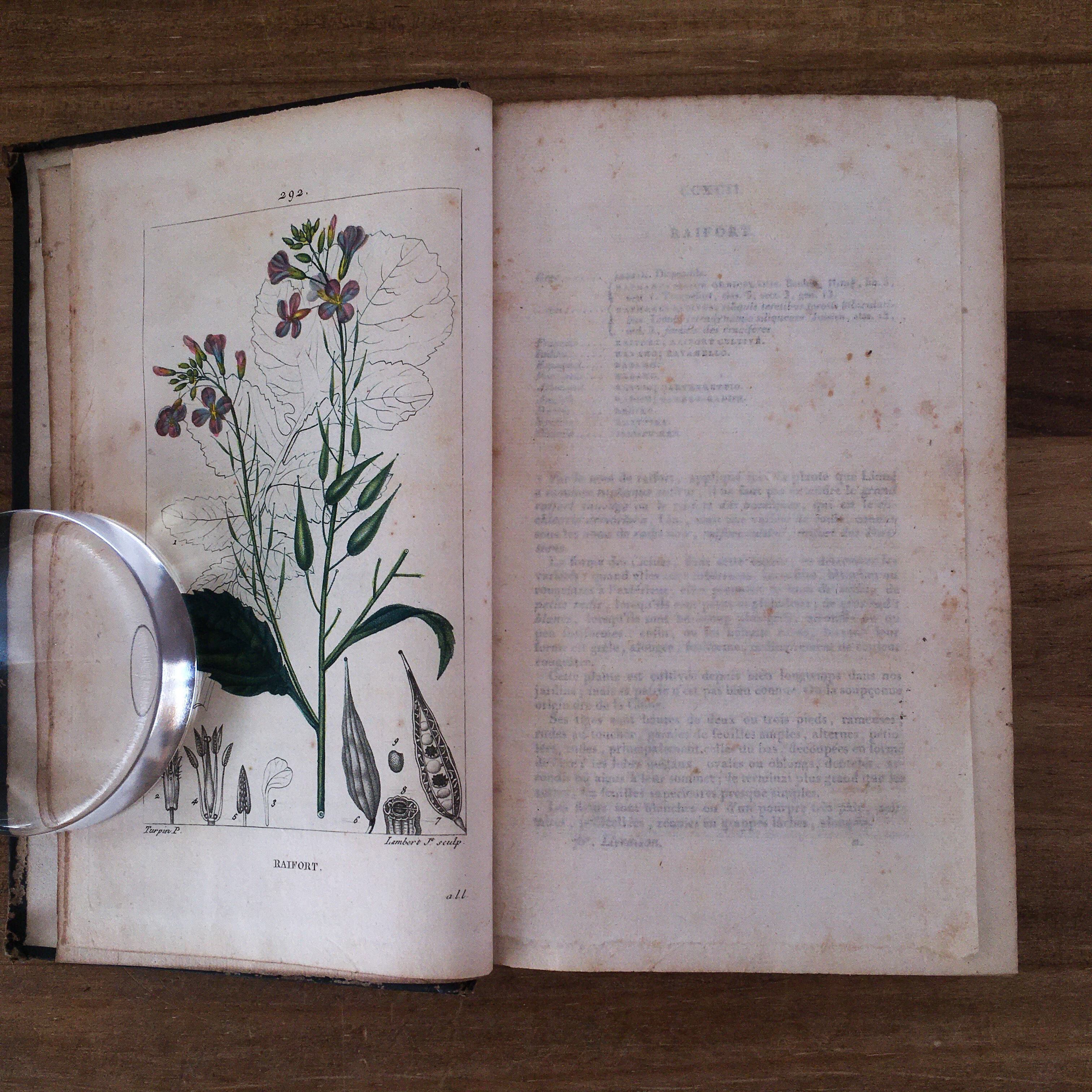 ◇ ベルナール・シャロワ ブーケを持つエマ ◇リトグラフ◇額H90×W71cm