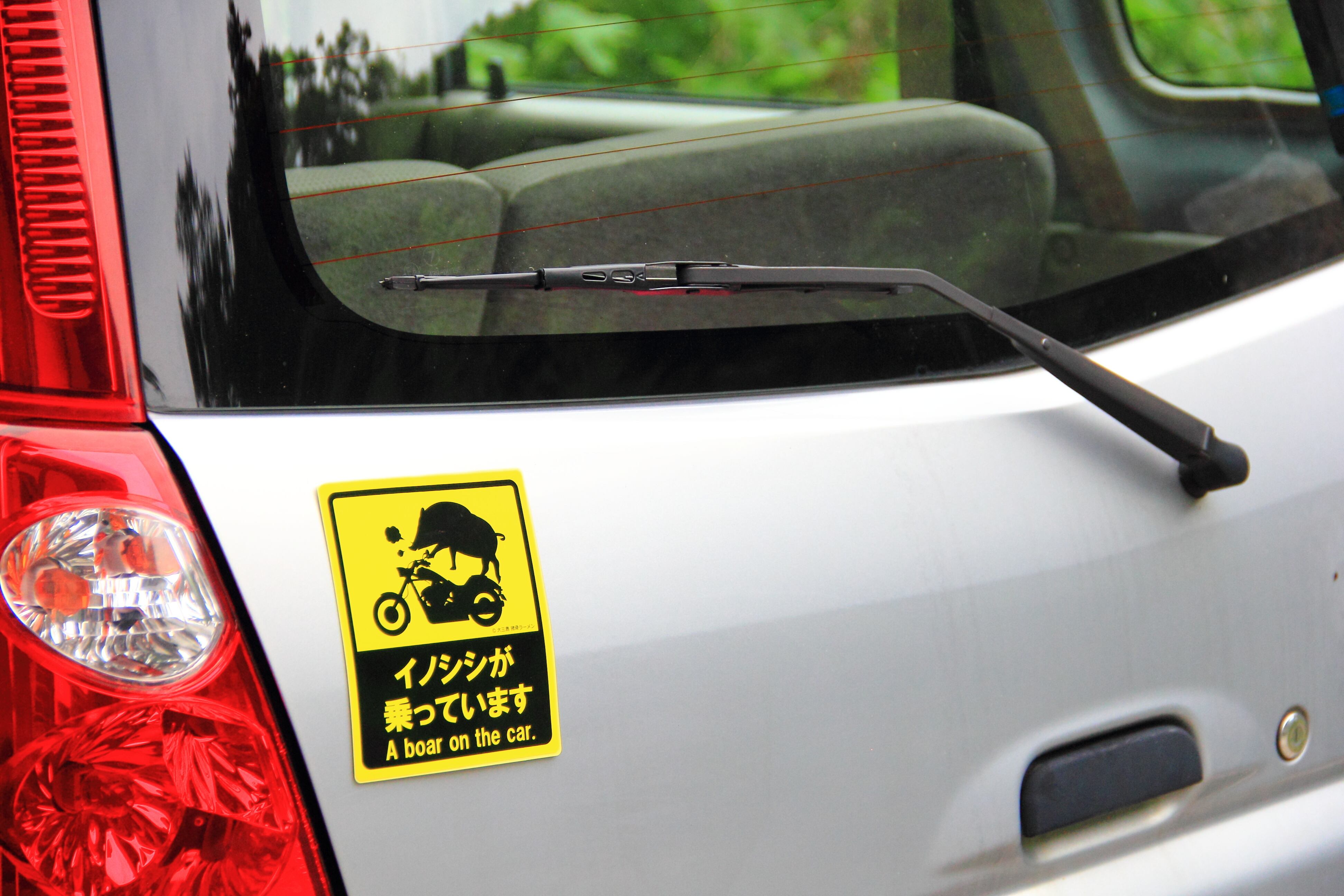 猪ステッカー【ノーマル】 | shishikotsu