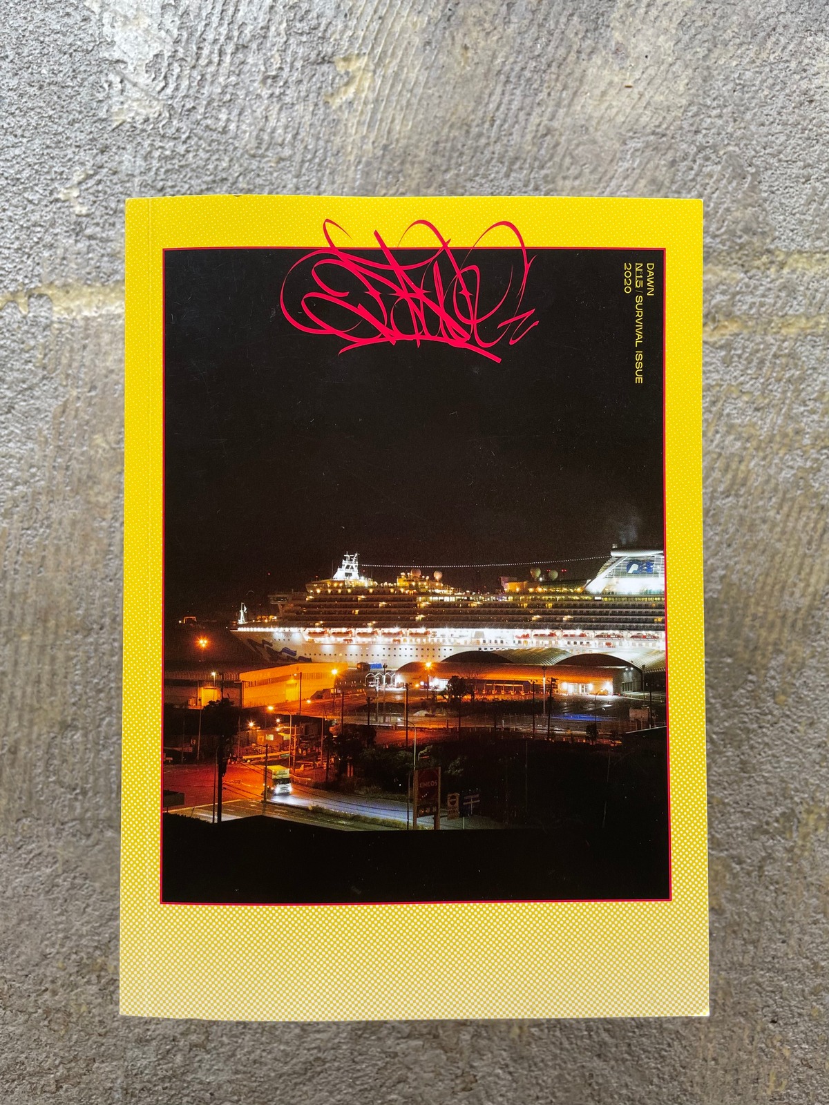 DAWN N°1.5｜Survival Issue | STANDARD BOOKSTORE