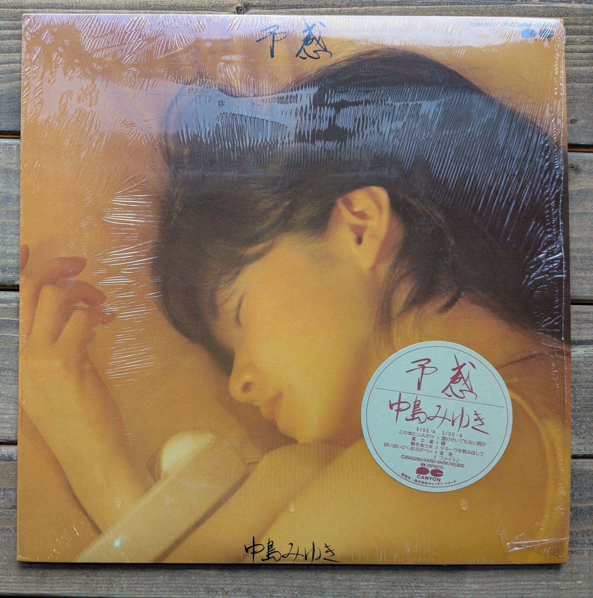 Misia「陽のあたる場所」:12inchレコード | 音とこだま