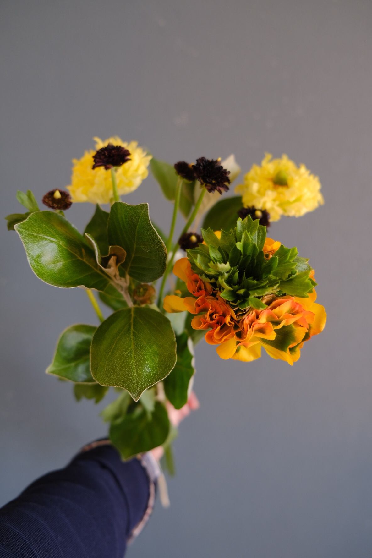 ラナンキュラスアソート Sai Botanical Works