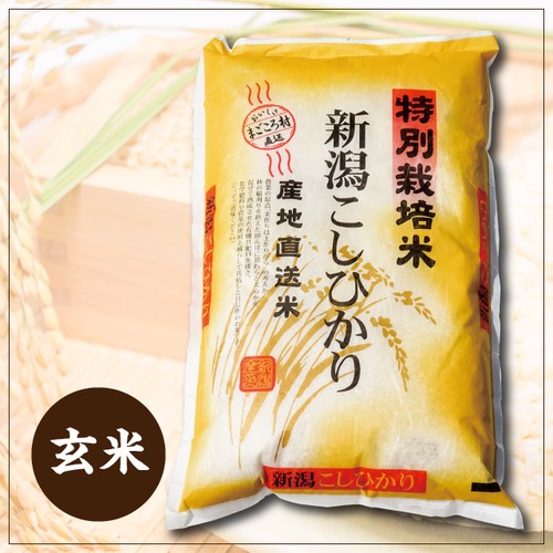 有機低農薬コシヒカリ　玄米3kg（令和5年産）　