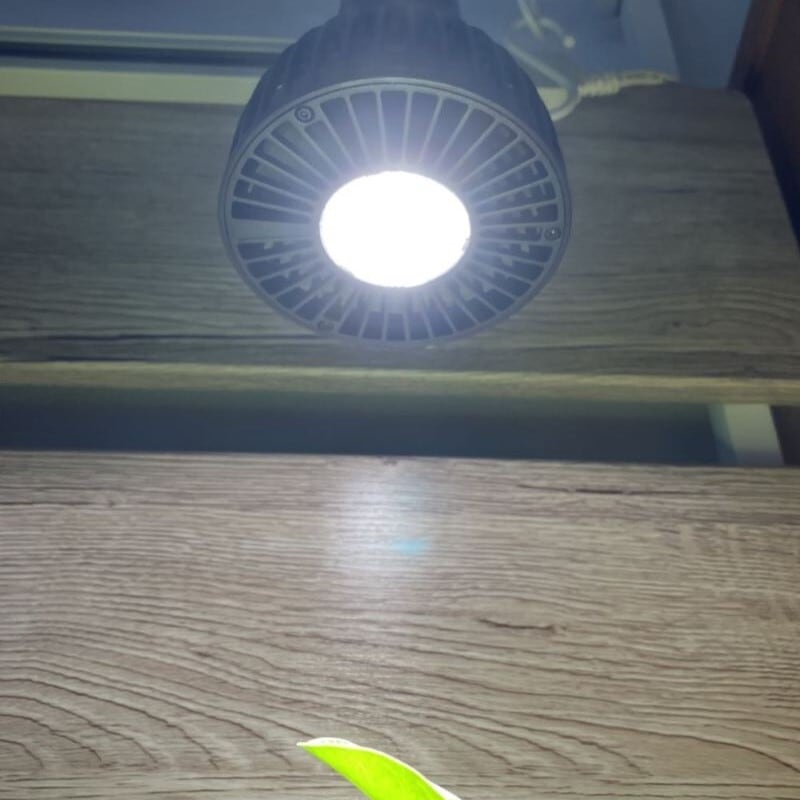 CHISPA 光と風で植物を育てるLEDライト ブラック ファン付き | CHISPA