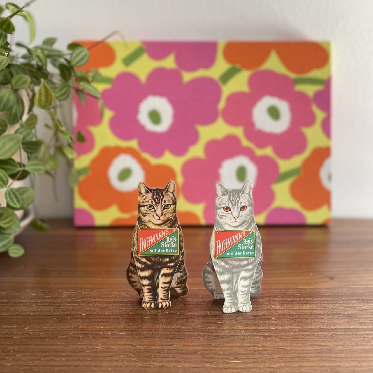 ドイツのミニベア 2匹セット 【公式通販】