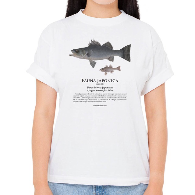 【スズキ】シーボルトコレクション魚譜Tシャツ（高解像・昇華プリント）