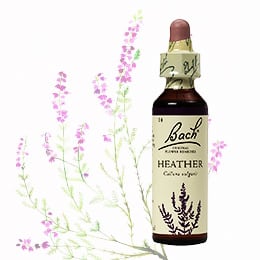 14 ヘザー バッチフラワーレメディ 送料無料 | バッチフラワーレメディ
