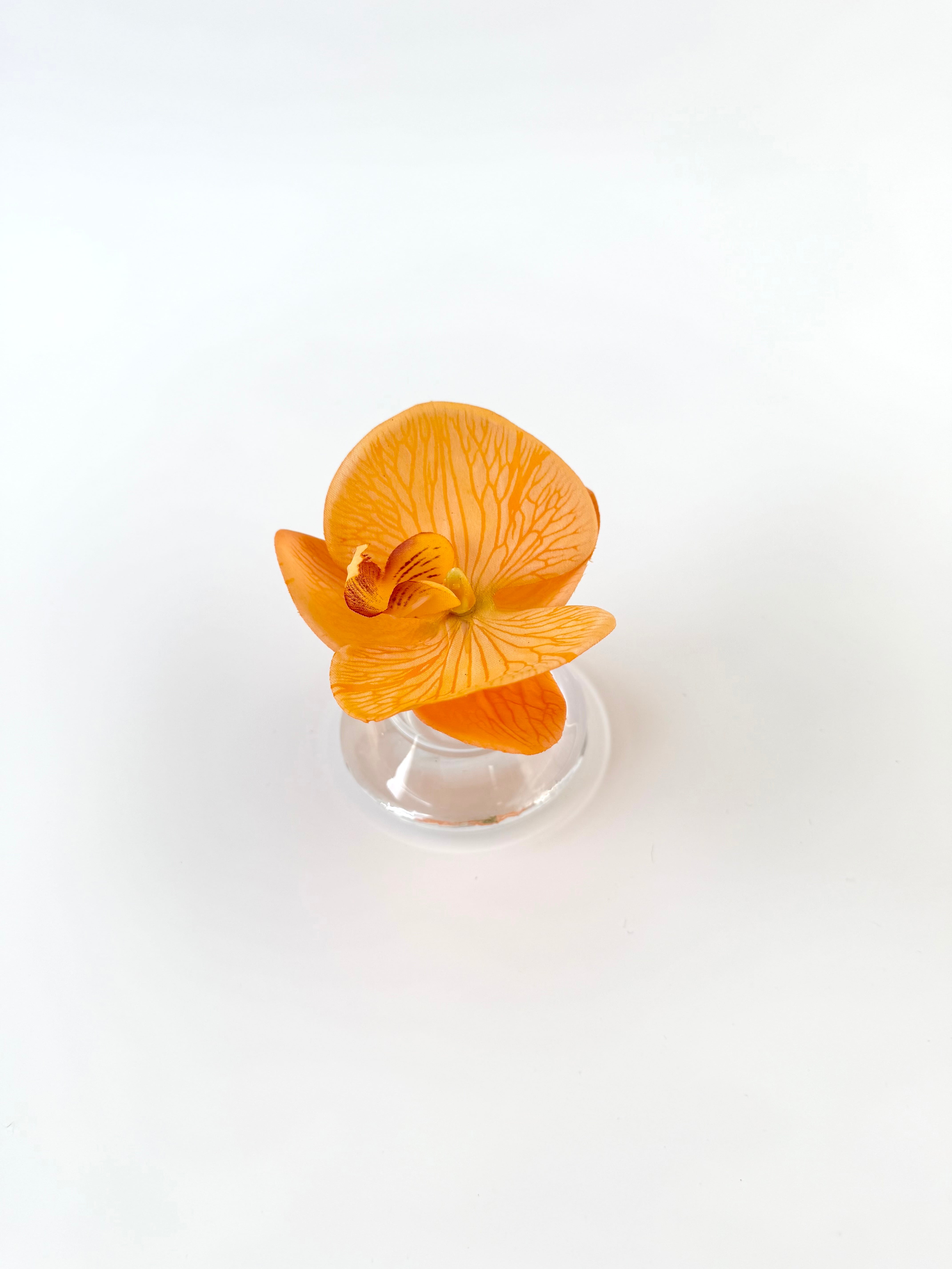 Mini 010