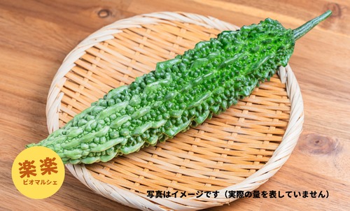 ゴーヤ